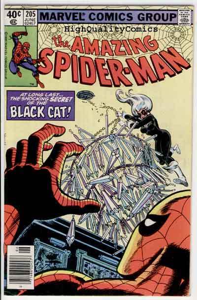 SPIDER-MAN #205, FN+, Black Cat, Wolfman, Amazing, 1963, more ASM in store
